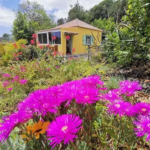 https://irana-del-bosque.in-canary-islands.com